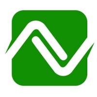 NGUYEN CPA & Associates Logo