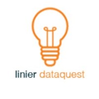 LinierDataquest Pvt Ltd Logo