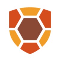 Next Arnhem Logo