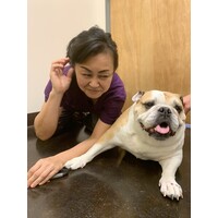 Kapolei Pet Hospital Logo