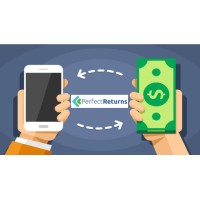 Perfect Returns Logo
