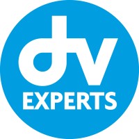 DV EXPERTS Logo