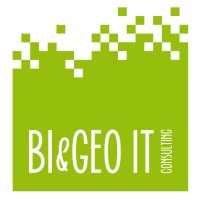 BI & GEO IT CONSULTING S.A. Logo