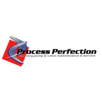 Process Perfection Consulting Logo
