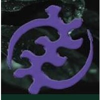 OneLife Institute - Spirituality & Social Action Logo