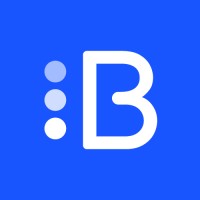 Bluecity.ai Logo