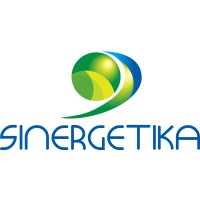 SINERGETIKA Logo