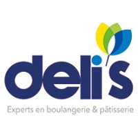 DELIS Logo