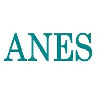 ANES-Editoria di Settore Logo