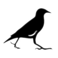Mynah Partners Logo