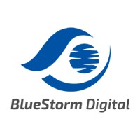 BlueStorm Digital Logo