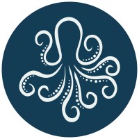 Juggling Octopus Logo