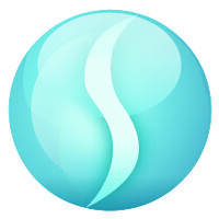 Dr. Kerry Solomon Logo
