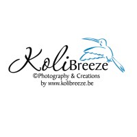 KoliBreeze Logo