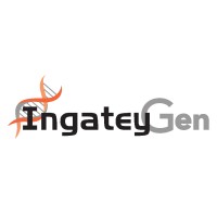Ingateygen LLC Logo