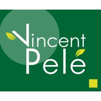VP-Consultant Logo