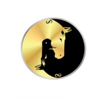 Pacing Dynamics Pty Ltd - The Equine Effect™ Logo