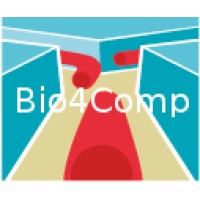 Bio4Comp – Parallel Network-Based Biocomputation Logo