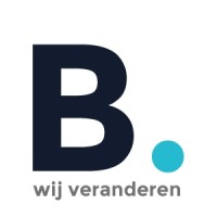 Borgesi.us Consulting Logo