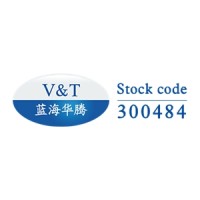 Shenzhen V&T Technologies Co., Ltd. Logo