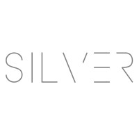 Silver Logo