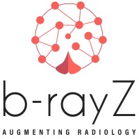 b-rayZ Logo