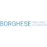 Borghese Financien & Assurantien BV Logo
