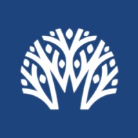Daintree Wealth Management Logo