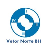 Instituto Você - Vetor Norte BH Logo
