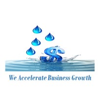 Liquid Tally Consulting Inc. Logo