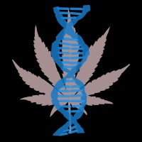 The Cannabinoid Research Institute Logo