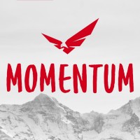 The Momentum Team Logo