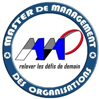 Master en Management des Organisations ( MMO) Logo