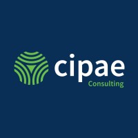CIPAE Consulting Logo