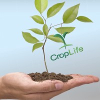 CropLife Philippines Logo