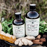 The POWER of Elderberries Logo