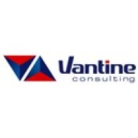 VANTINE CONSULTING Logo