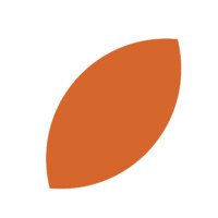 Cacau Crédito Logo