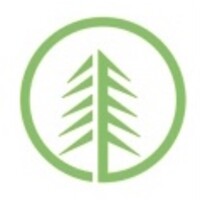 pineneedle Logo