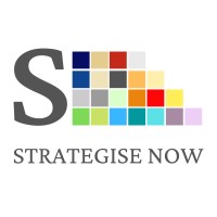 Strategise Now Logo
