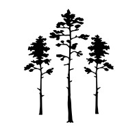 Pinewood Weddings and Events Logo