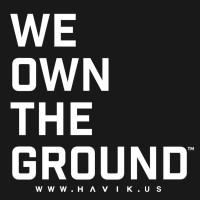 HAVIK Logo