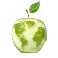 Enormous IT Logo
