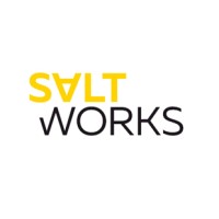 SALT WORKS GmbH Agentur für Meinungs- und Markenbildung Logo