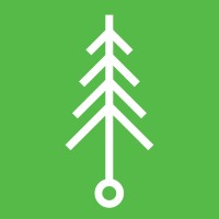 Wild Pine Creative Logo