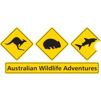 Australian Wildlife Adventures Logo