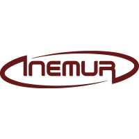 Inemur Logo
