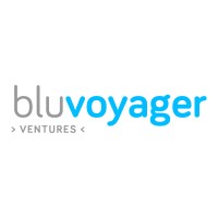 Bluvoyager Ventures Logo