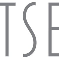 The Tse Group Logo