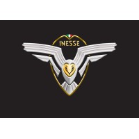 INESSE CORPORATION LTD Logo